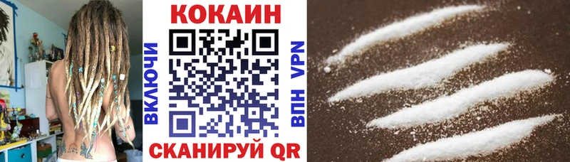 Купить закладки  Норильск  Cocaine Fish Scale 