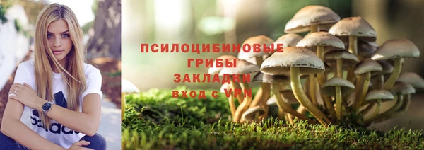 индика Иннополис
