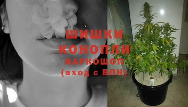 СК Зеленокумск