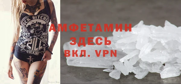 прущие грибы Зеленодольск