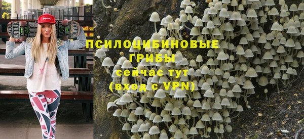 прущие грибы Зеленодольск